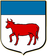 Blason : Anouilh de Saliés