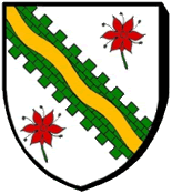 Blason : Rio Salado