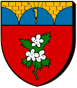 Blason : Saint Gervais la Forêt