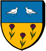 Blason : Amé de Saint Dizier