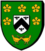 Blason : Salbris