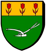 Blason : Carqueiranne