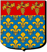 Blason : Villeneuve le Roi