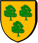 Blason : Nogaro