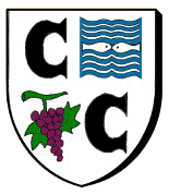 Blason : Châtillon sur Cher