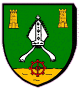 Blason : Saint Lubin en Vergonnois